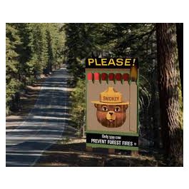 micro structures 442852 smokey bear billboard